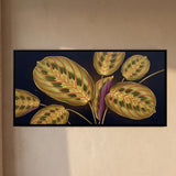 Prayer Plant Leaves on Dark Ground