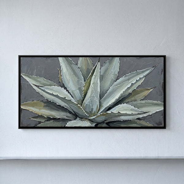 Agave Plant