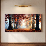 Sunlit Autumn Avenue