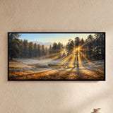 Sunrise Shining Through a Pine Forest
