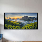 Munnar Tea Gardens at Sunrise