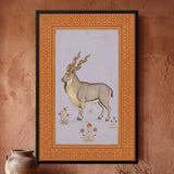 Markhor Wild Goat