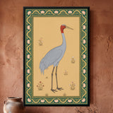 Sarus Crane