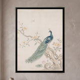 Peacock on a Garden Rock