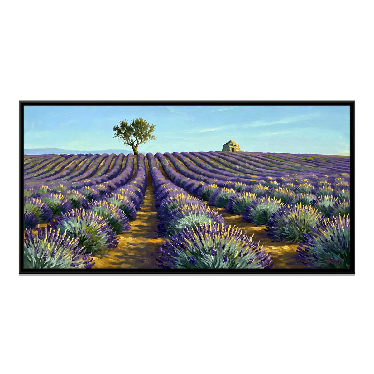 Lavender Field with a Lone Tree - framed canvas print, front view