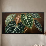 Anthurium Leaves with Silver Veins on Dark Background