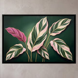 Pink, Cream, and Green Striped Leaves on Dark Background