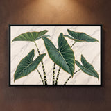 Elephant Ear Leaves on Marble Background