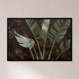 Bird of Paradise Leaves