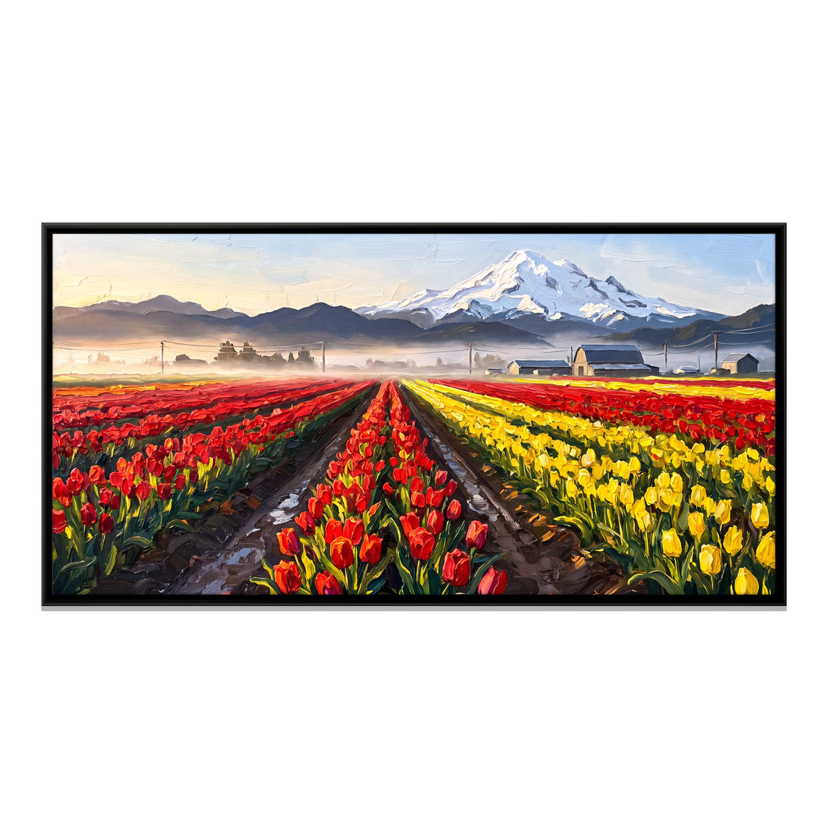 Tulip Fields Below a Snowy Peak - framed canvas print, front view
