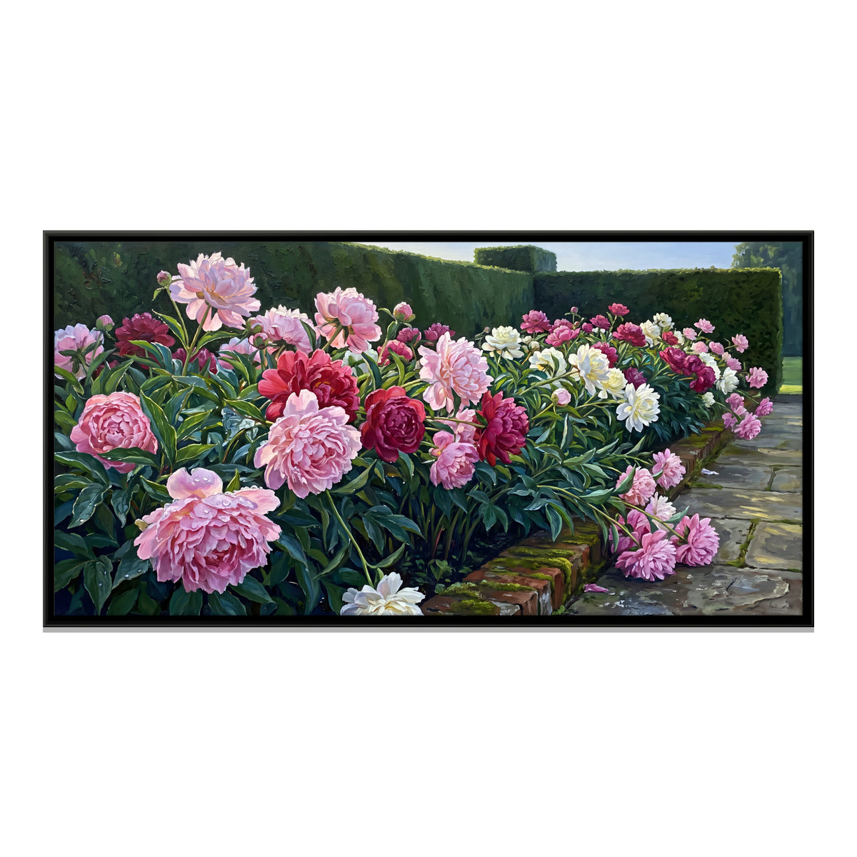 Peonies Along a Garden Path - framed canvas print, front view
