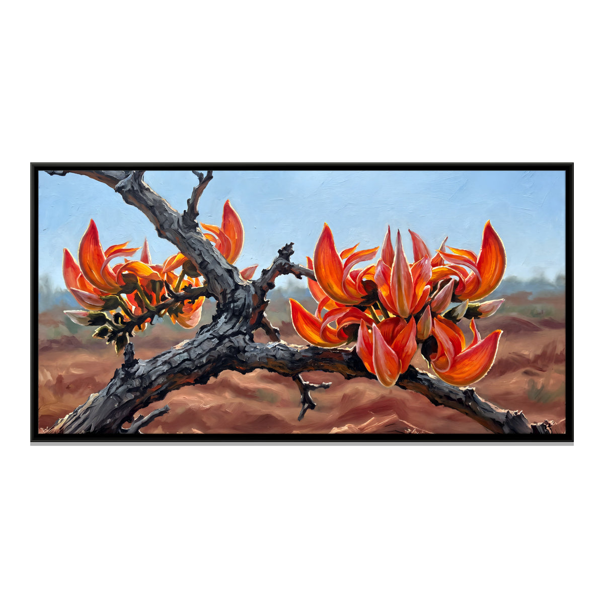 Flame of the Forest in Bloom - framed canvas print, front view