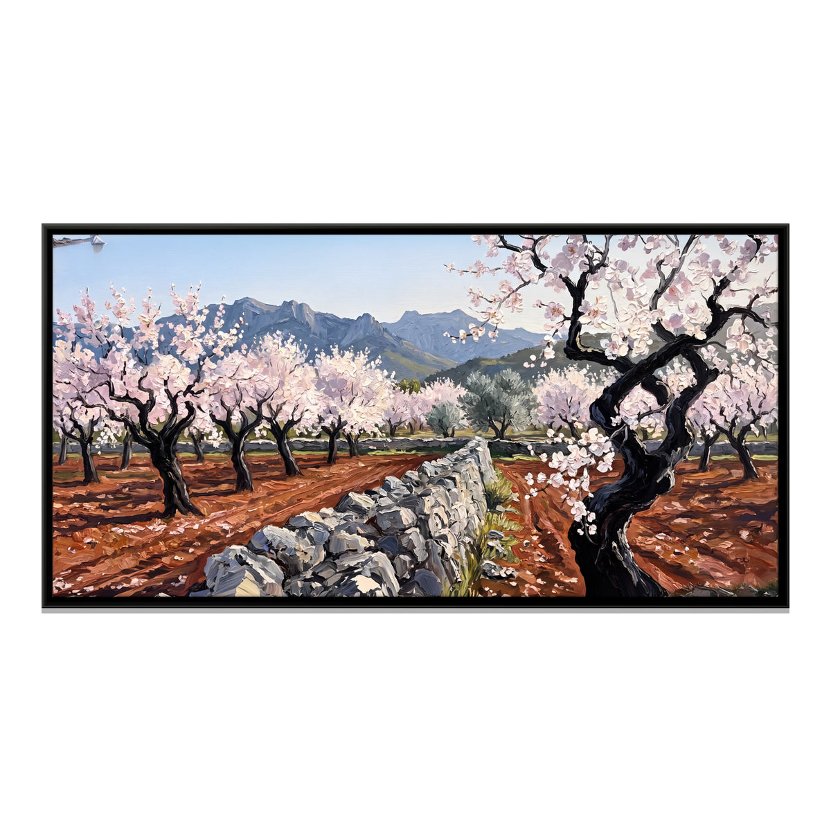 Almond Orchard in Blossom - framed canvas print, front view