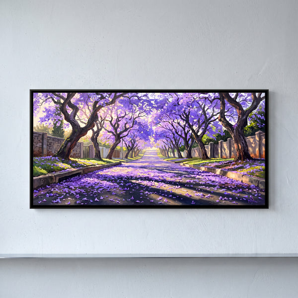 Jacaranda Avenue in Bloom in Plum