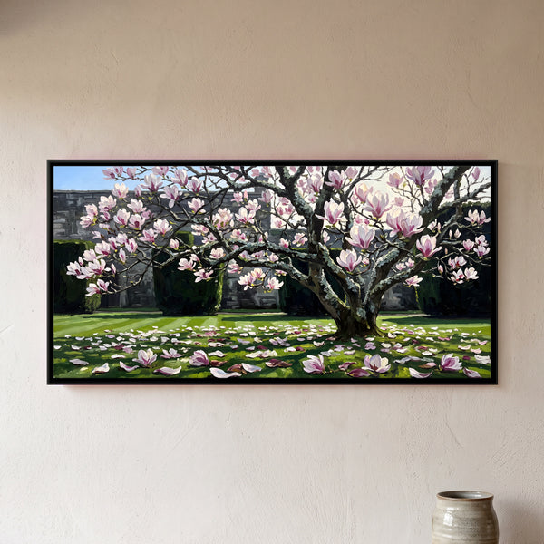 Magnolia Tree Blooming on a Lawn