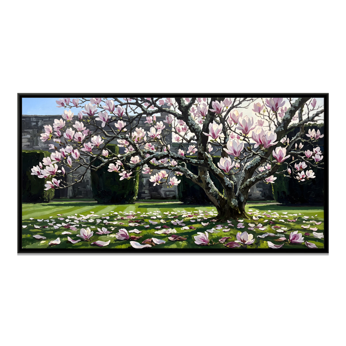 Magnolia Tree in Full Bloom - framed canvas print, front view