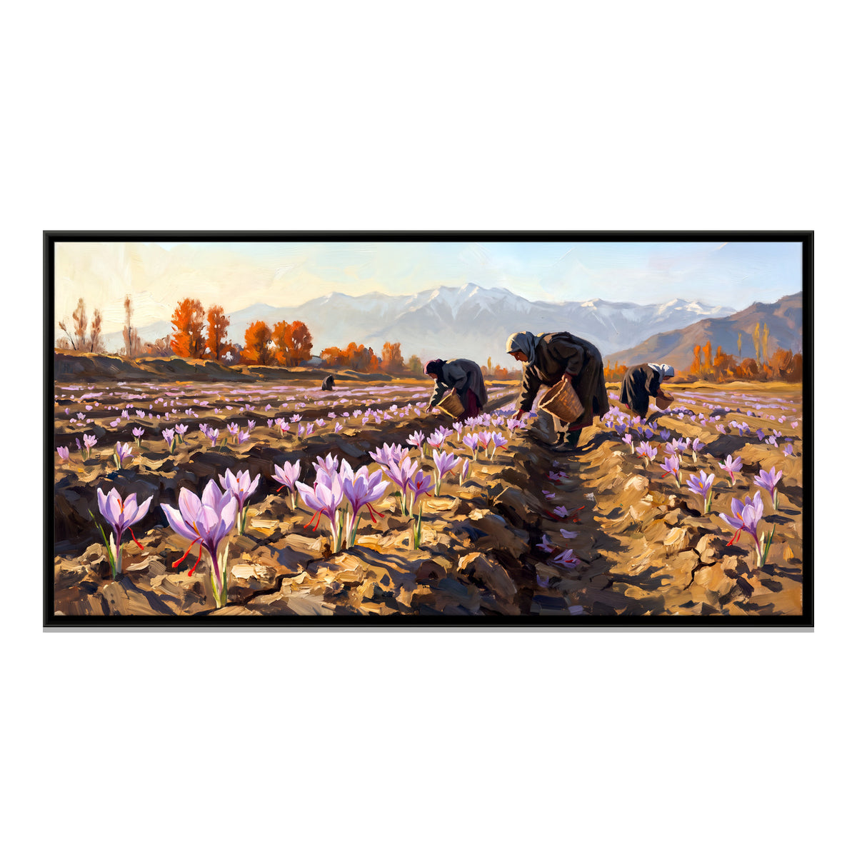 Harvesting the Saffron Fields - framed canvas print, front view