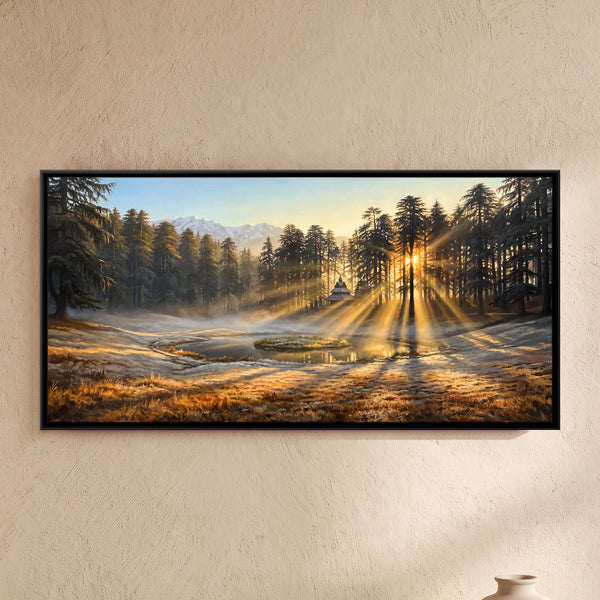 Sunrise Shining Through a Pine Forest