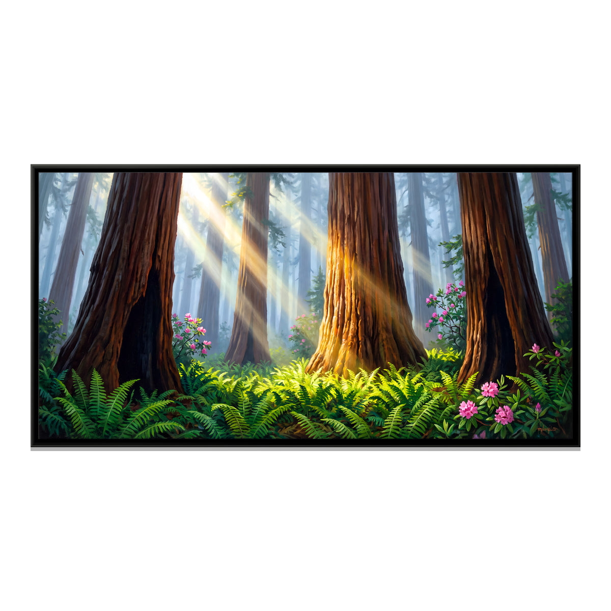 Sunlight in a Redwood Grove - framed canvas print, front view