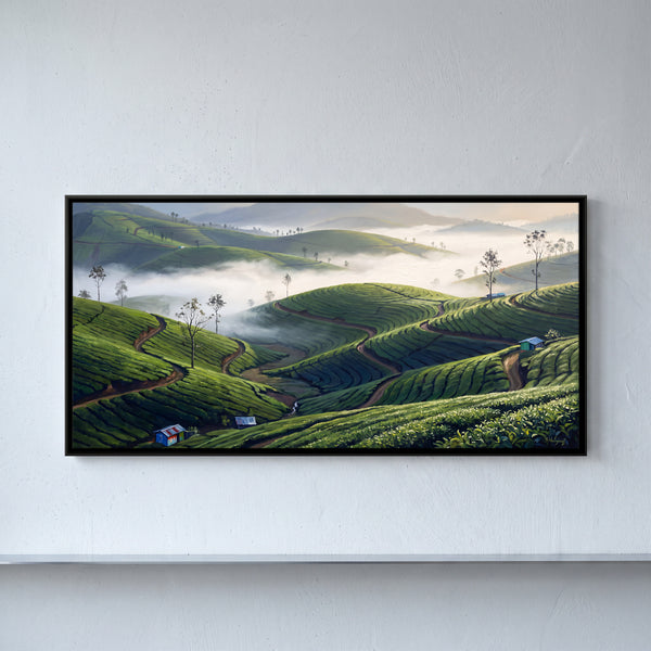 Munnar Tea Gardens in Mist