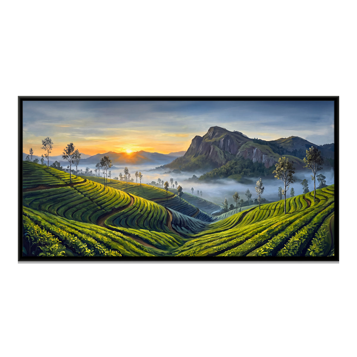 Munnar Tea Gardens at Sunrise - framed canvas print, front view