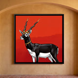 Blackbuck Antelope Adorned in Gold Jewelry