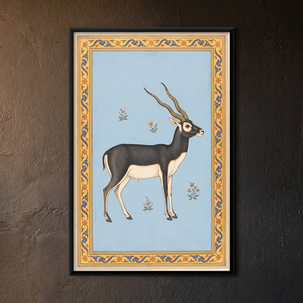 Blackbuck Antelope in a Flowering Meadow