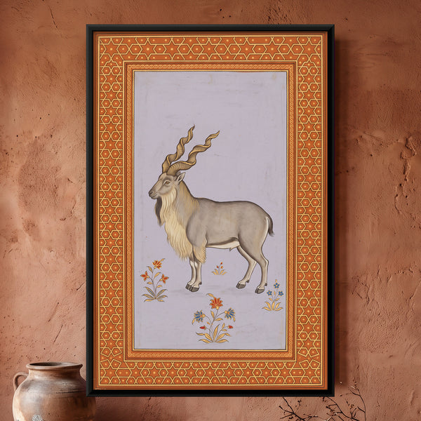 Markhor Wild Goat