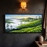 Terraced Tea Gardens Running Down to a Misty Valley