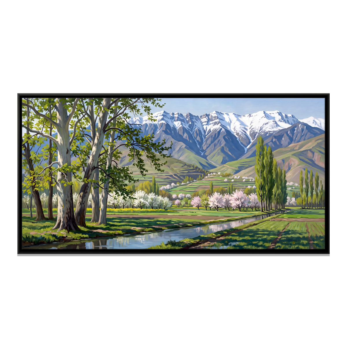 Spring Blossom Below a Snow Range - framed canvas print, front view