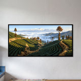 Tea Gardens on a Ridge Above Clouds