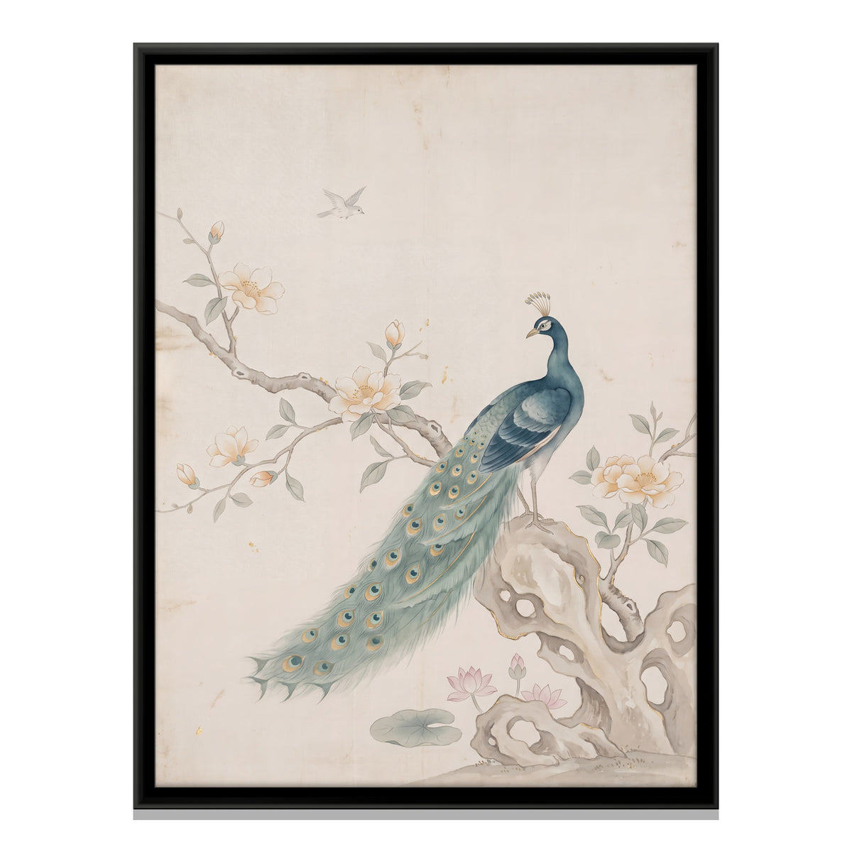 Peacock on a Garden Rock - framed canvas print, front view