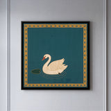 White Swan on Water