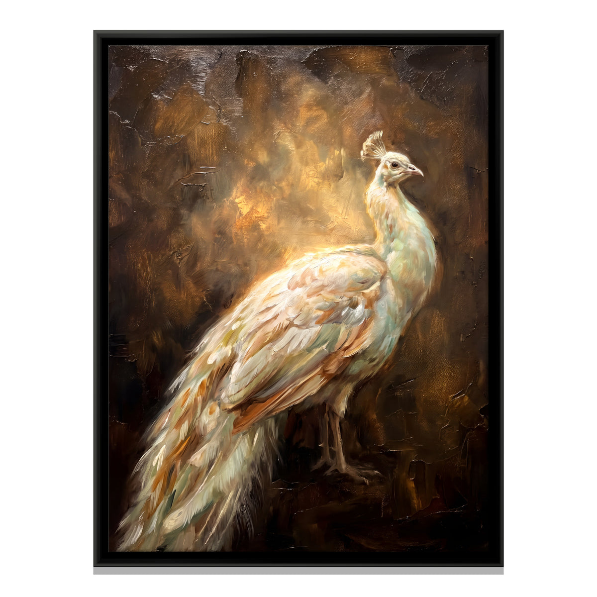 White Peacock - framed canvas print, front view