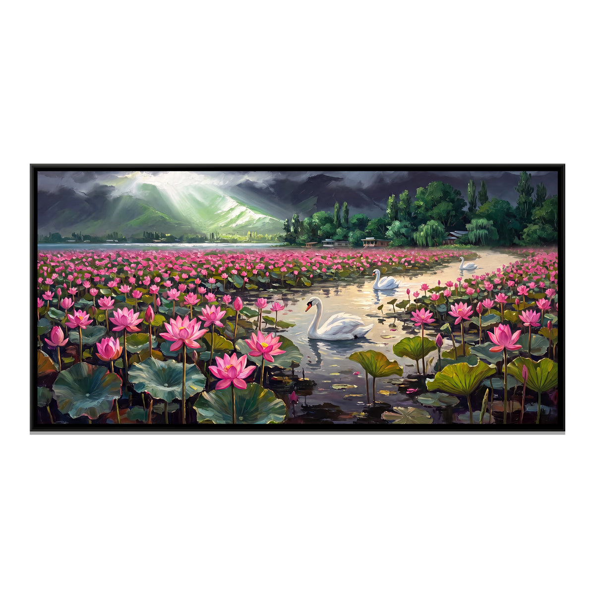 Swans on a Lotus Lake in Monsoon Light - framed canvas print, front view