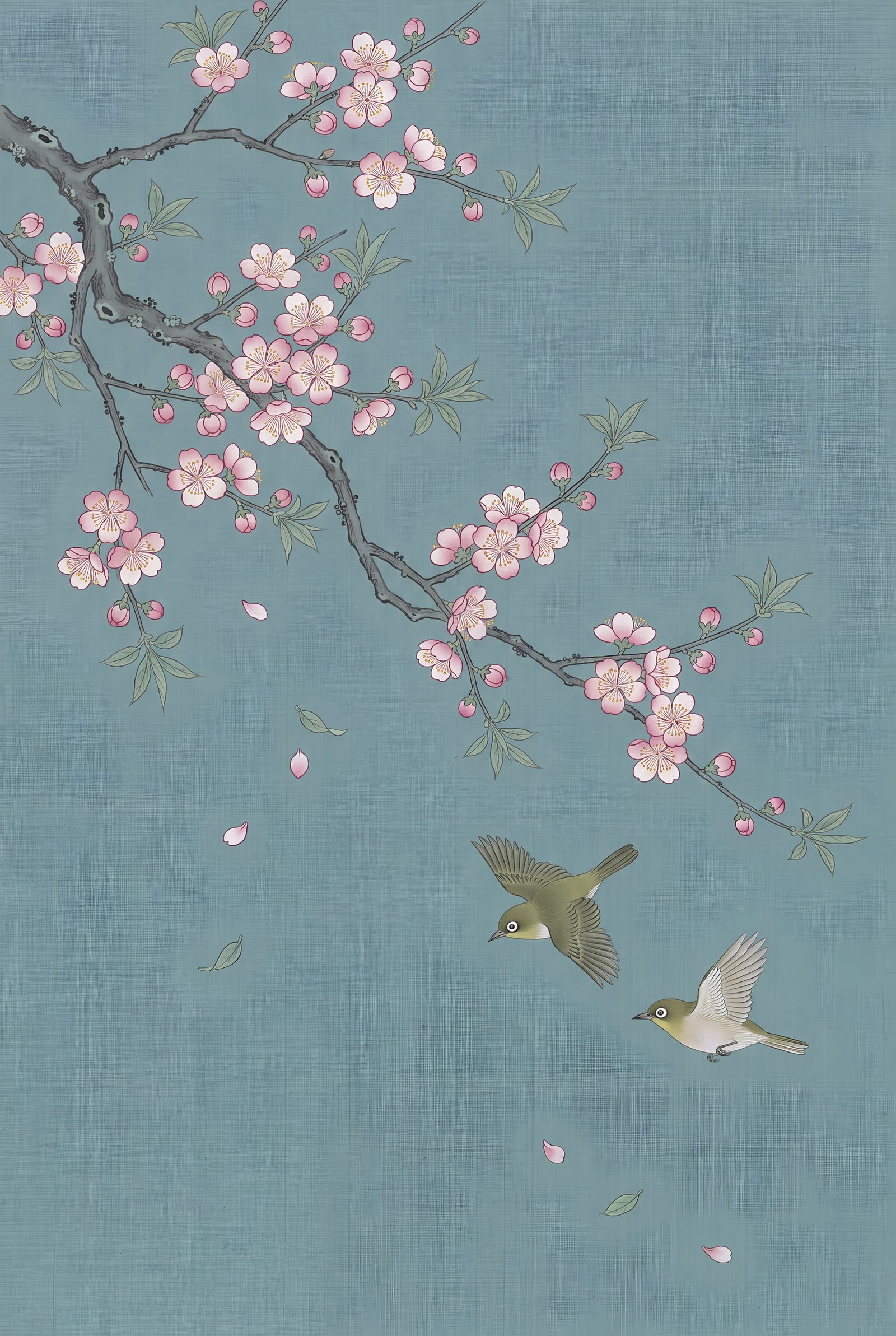 Plum branch in pale pink blossom on soft blue with two small birds
